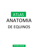 ATLAS DE ANATOMIA DO CAVALO.pdf